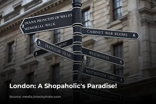 London: A Shopaholic's Paradise!