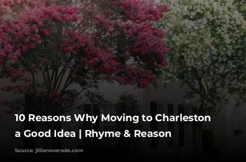 10 Reasons Why Moving to Charleston is a Good Idea | Rhyme & Reason