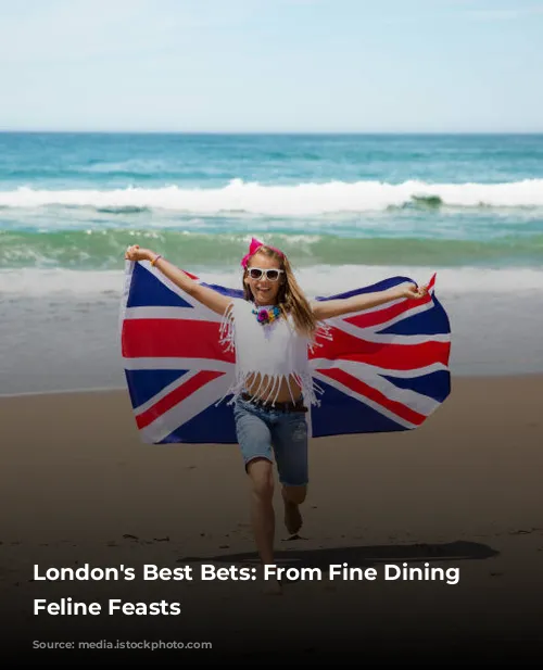 London's Best Bets: From Fine Dining to Feline Feasts