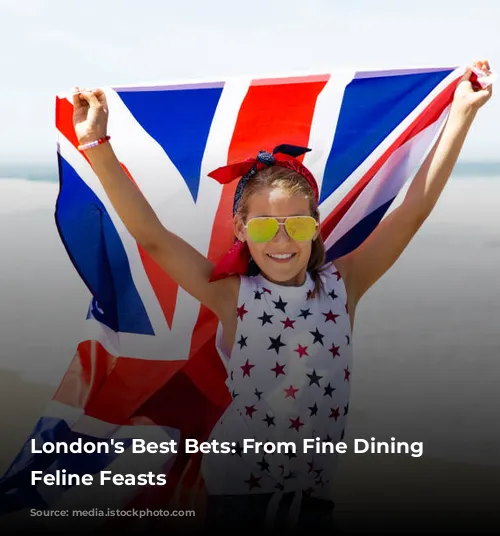 London's Best Bets: From Fine Dining to Feline Feasts