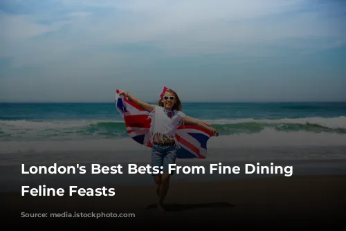 London's Best Bets: From Fine Dining to Feline Feasts