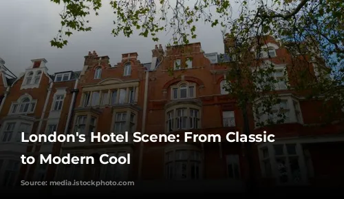 London's Hotel Scene: From Classic Elegance to Modern Cool