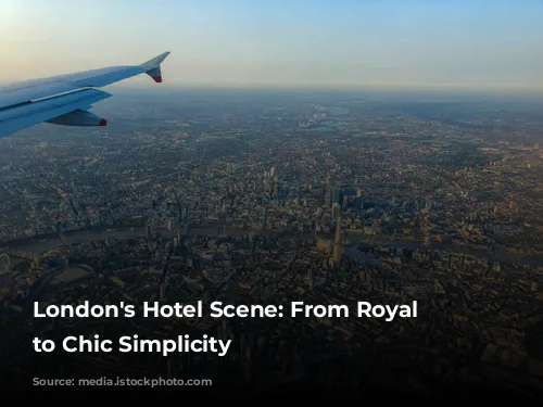 London's Hotel Scene: From Royal Charm to Chic Simplicity