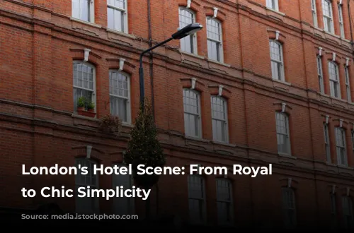 London's Hotel Scene: From Royal Charm to Chic Simplicity