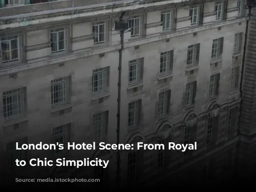 London's Hotel Scene: From Royal Charm to Chic Simplicity