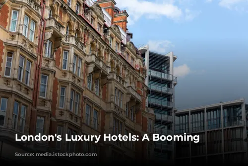 London's Luxury Hotels: A Booming Business