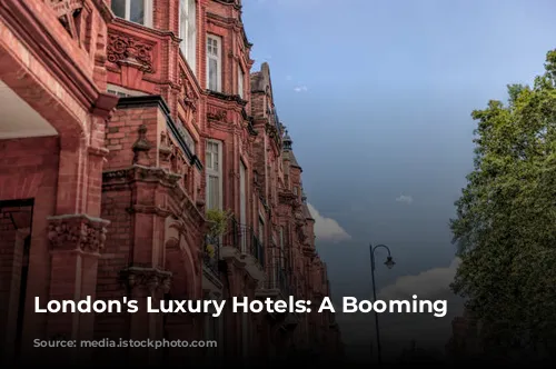 London's Luxury Hotels: A Booming Business