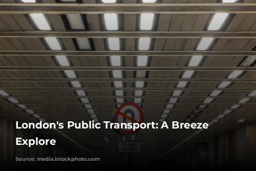 London's Public Transport: A Breeze to Explore