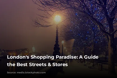 London's Shopping Paradise: A Guide to the Best Streets & Stores