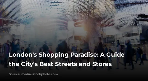 London's Shopping Paradise: A Guide to the City's Best Streets and Stores