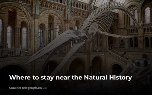 Where to stay near the Natural History Museum