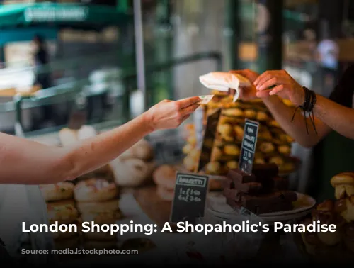  London Shopping: A Shopaholic's Paradise 