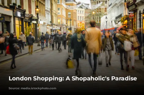  London Shopping: A Shopaholic's Paradise 