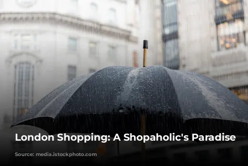  London Shopping: A Shopaholic's Paradise 