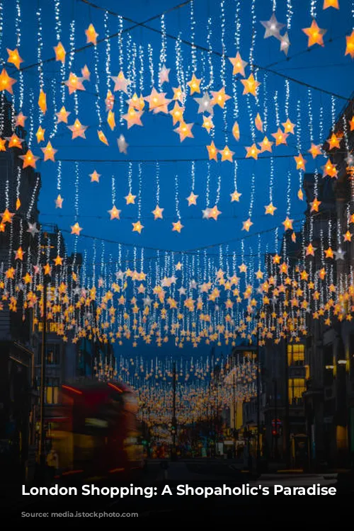  London Shopping: A Shopaholic's Paradise 