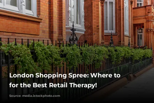 London Shopping Spree: Where to Stay for the Best Retail Therapy!