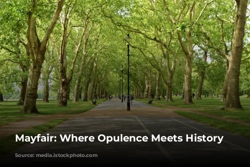 Mayfair: Where Opulence Meets History