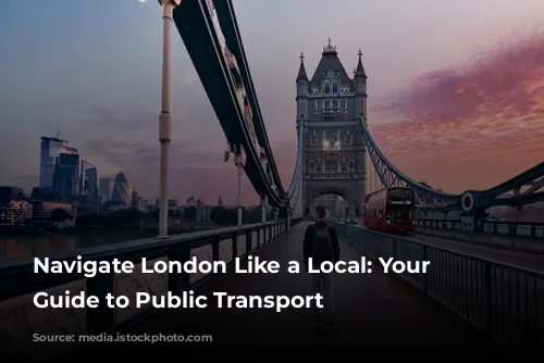 Navigate London Like a Local: Your Ultimate Guide to Public Transport