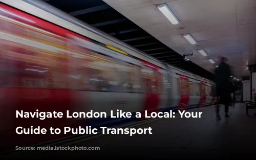 Navigate London Like a Local: Your Ultimate Guide to Public Transport