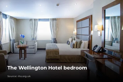 The Wellington Hotel bedroom