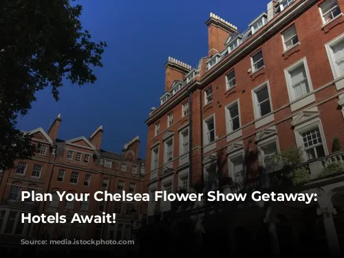 Plan Your Chelsea Flower Show Getaway:  Luxurious Hotels Await!