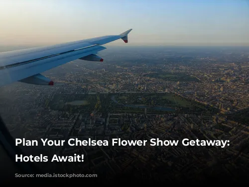 Plan Your Chelsea Flower Show Getaway:  Luxurious Hotels Await!