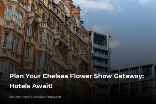 Plan Your Chelsea Flower Show Getaway:  Luxurious Hotels Await!