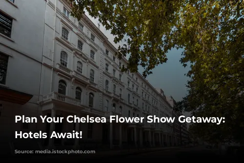 Plan Your Chelsea Flower Show Getaway:  Luxurious Hotels Await!