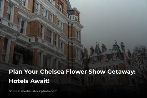 Plan Your Chelsea Flower Show Getaway:  Luxurious Hotels Await!