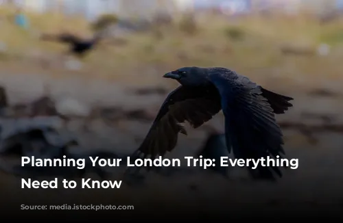 Planning Your London Trip: Everything You Need to Know