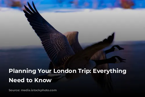 Planning Your London Trip: Everything You Need to Know