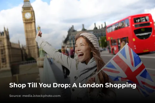 Shop Till You Drop: A London Shopping Guide