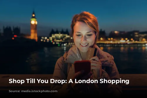 Shop Till You Drop: A London Shopping Guide