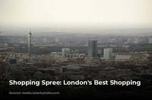 Shopping Spree: London's Best Shopping Destinations