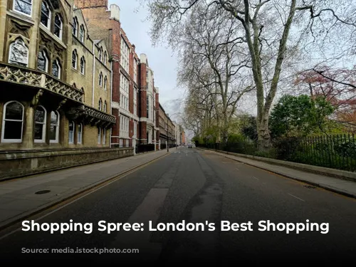 Shopping Spree: London's Best Shopping Destinations