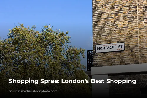 Shopping Spree: London's Best Shopping Destinations