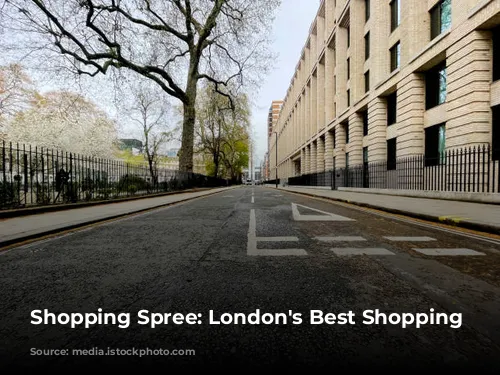 Shopping Spree: London's Best Shopping Destinations