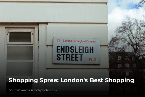 Shopping Spree: London's Best Shopping Destinations