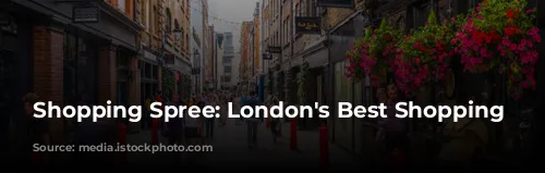 Shopping Spree: London's Best Shopping Destinations