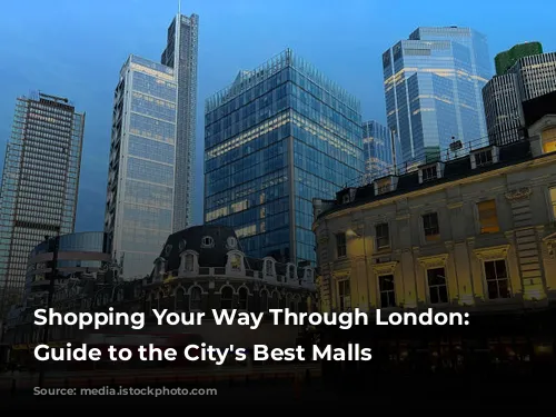 Shopping Your Way Through London: A Guide to the City's Best Malls