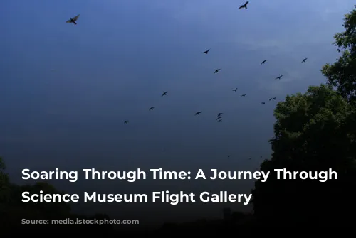 Soaring Through Time: A Journey Through the Science Museum Flight Gallery