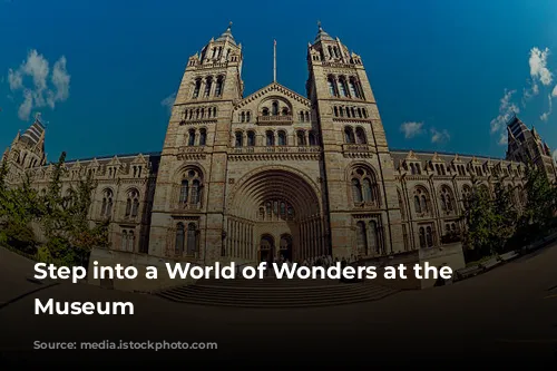 Step into a World of Wonders at the Science Museum