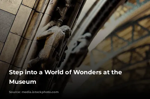 Step into a World of Wonders at the Science Museum