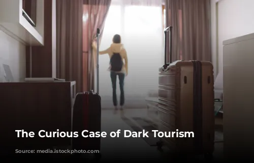 The Curious Case of Dark Tourism