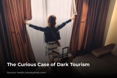 The Curious Case of Dark Tourism