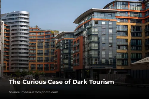 The Curious Case of Dark Tourism