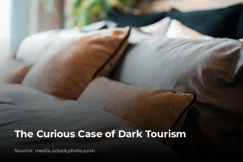 The Curious Case of Dark Tourism