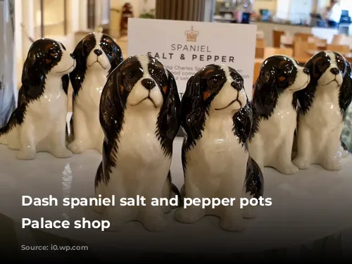 Dash spaniel salt and pepper pots Kensington Palace shop