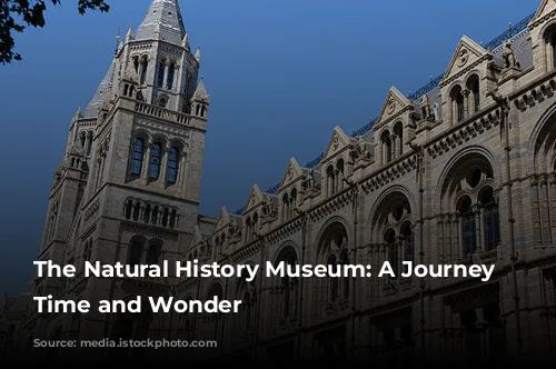 The Natural History Museum: A Journey Through Time and Wonder