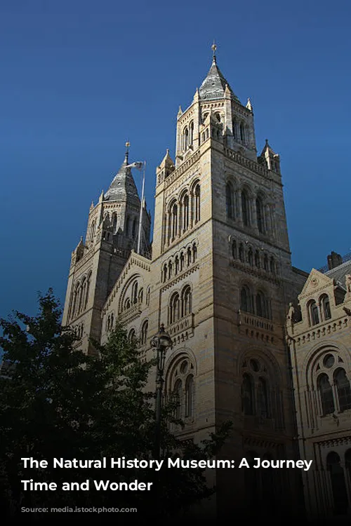 The Natural History Museum: A Journey Through Time and Wonder